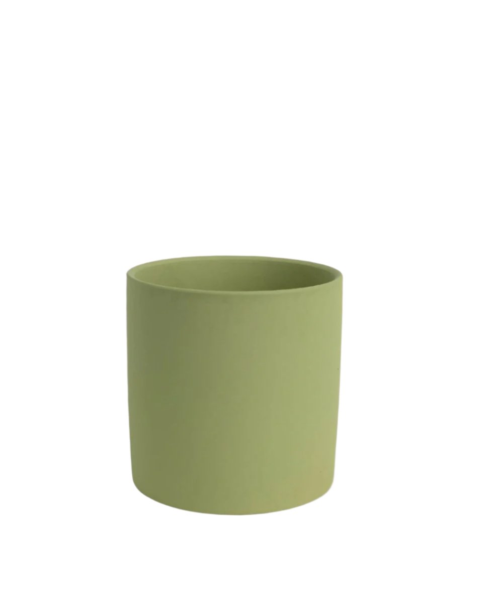 Olive Bloom Ceramic Pot - Small - Pots - Tumbleweed Plants - Online Plant Delivery Singapore