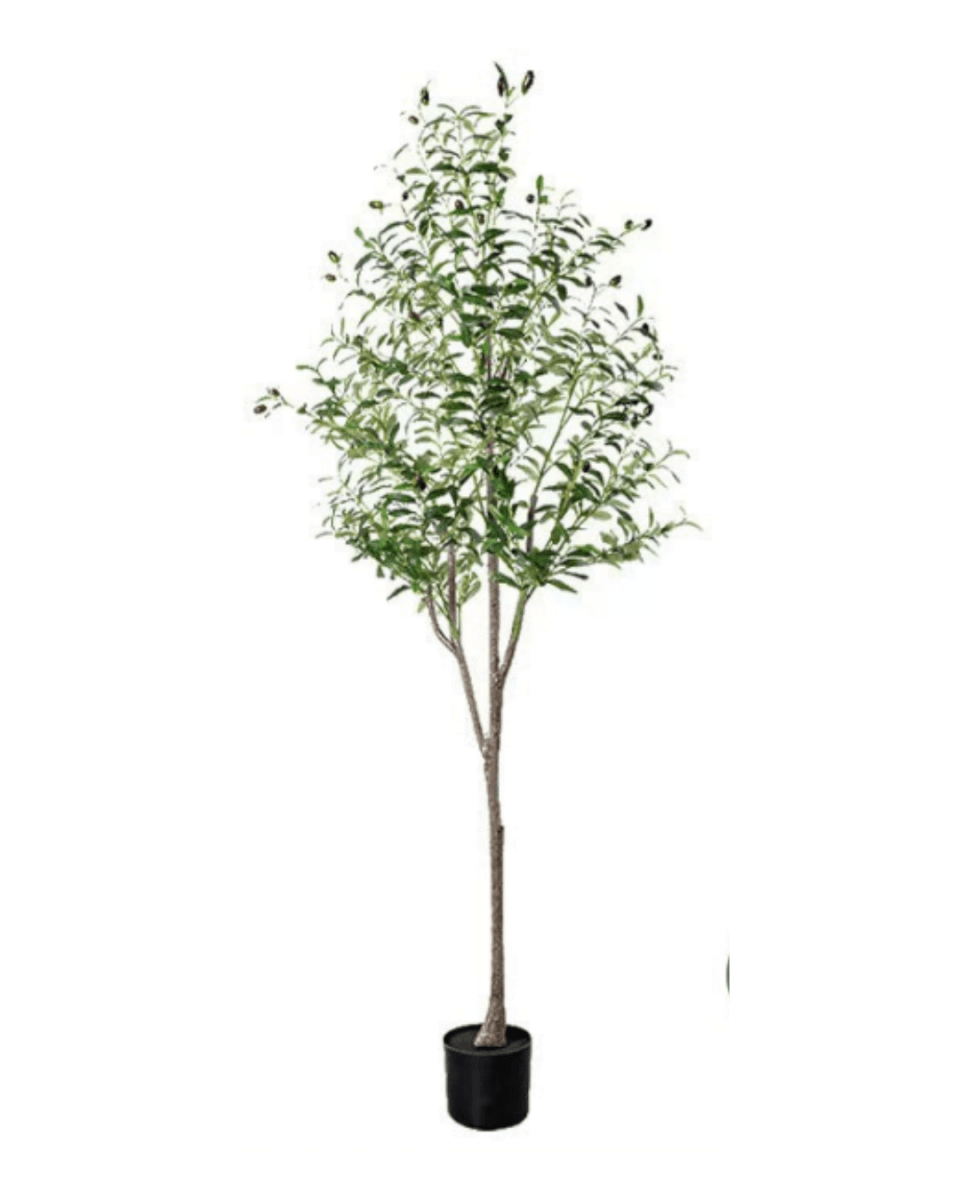 Olive Tree (Faux) - Artificial Plant - bsv_5526140300167 - Tumbleweed Plants - Online Plant Delivery Singapore