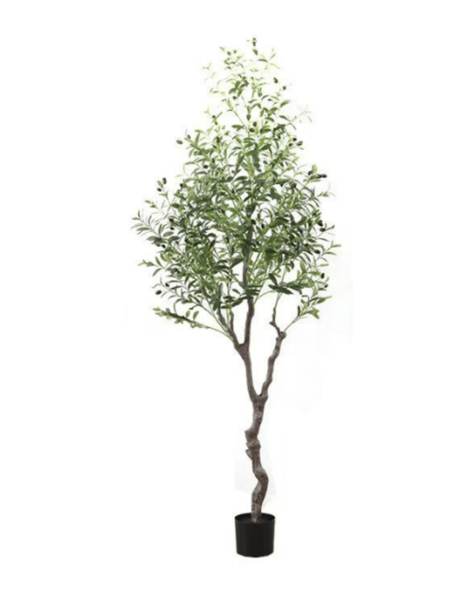 Olive Tree (Faux) - Artificial Plant - bsv_5698595835875 - Tumbleweed Plants - Online Plant Delivery Singapore