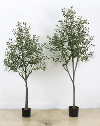 Olive Tree (Faux) - Artificial Plant - bsv_5698595835875 - Tumbleweed Plants - Online Plant Delivery Singapore