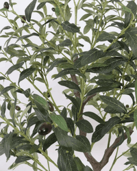 Olive Tree (Faux) - Artificial Plant - bsv_5698595835875 - Tumbleweed Plants - Online Plant Delivery Singapore