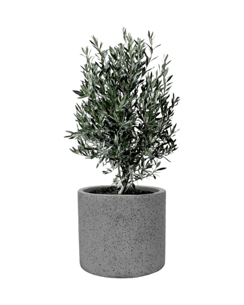 grey terrazzo pot