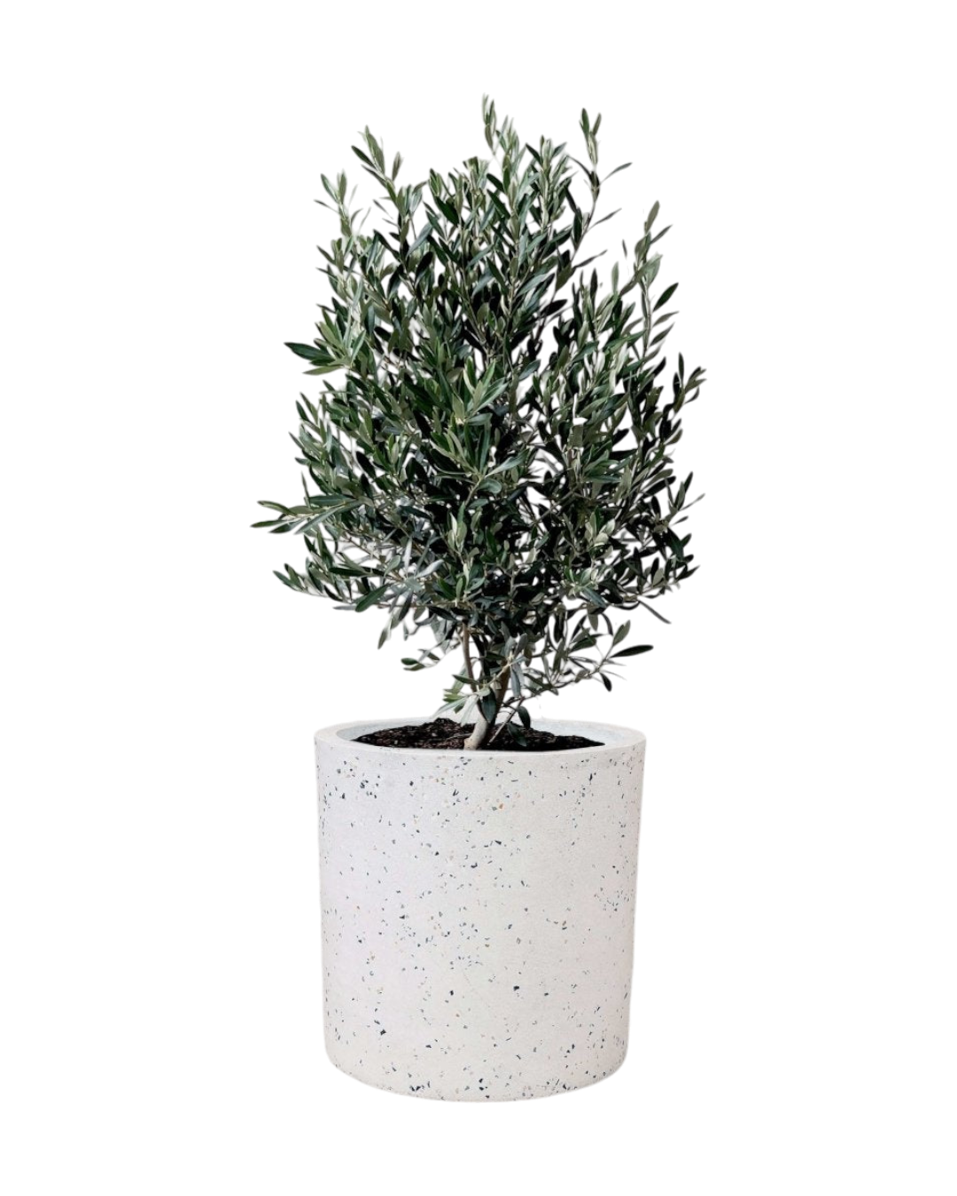 white terrazzo cylinder planter