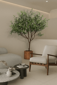 Olive Tree - Real - Trunk Artificial - Potted plant - 5516314535781 - Tumbleweed Plants - Online Plant Delivery Singapore