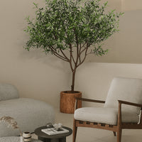 Olive Tree - Real-Trunk Artificial