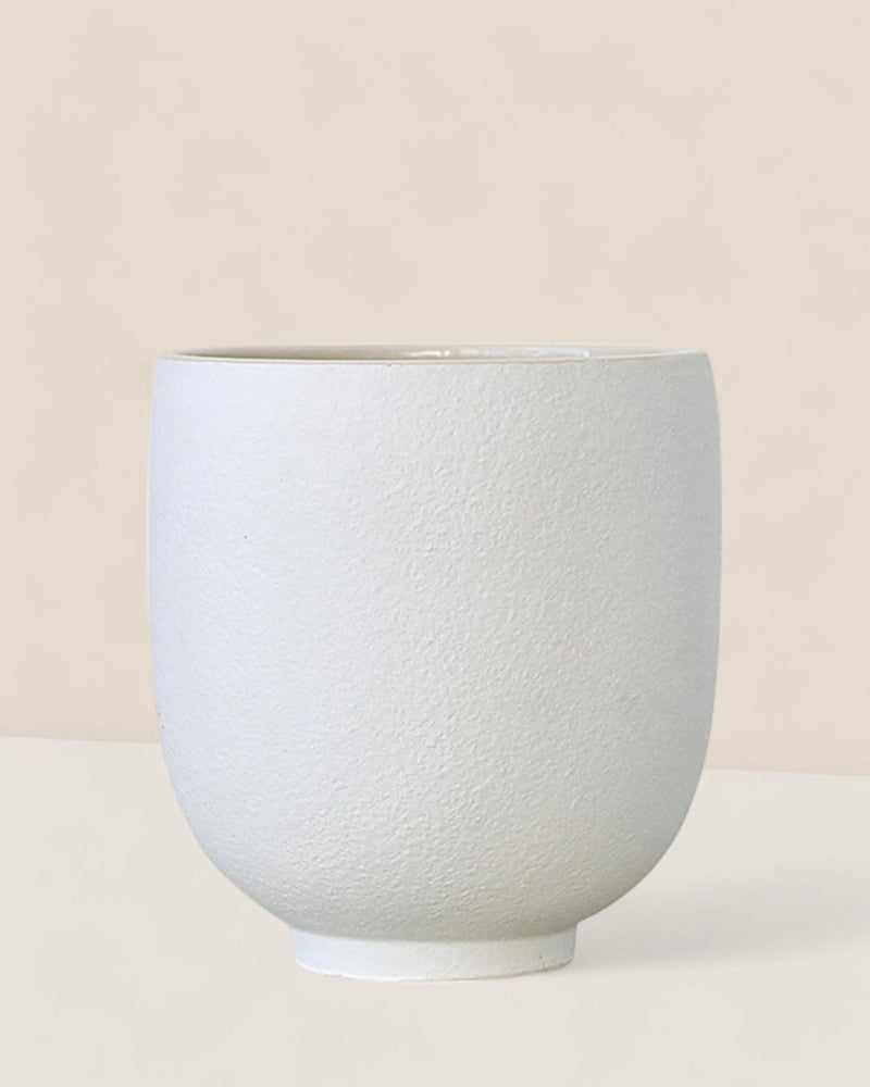 Orb White Planter - Pots - 5383546594696 - Tumbleweed Plants - Online Plant Delivery Singapore