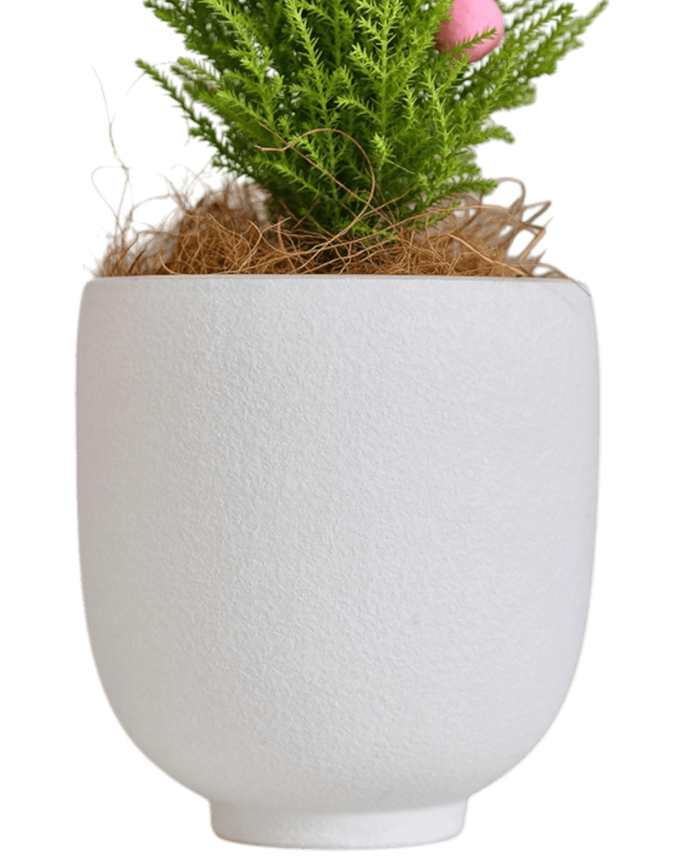 Orb White Planter - Pots - 5383546594696 - Tumbleweed Plants - Online Plant Delivery Singapore