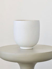 Orb White Planter - Pots - 5383546594696 - Tumbleweed Plants - Online Plant Delivery Singapore