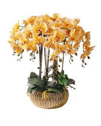 Orchid Arrangement (Faux) - Artificial Plant - 1838465441371127818 - 0 - Tumbleweed Plants - Online Plant Delivery Singapore