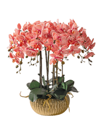 Orchid Arrangement (Faux) - Artificial Plant - 1838465441371127817 - 0 - Tumbleweed Plants - Online Plant Delivery Singapore