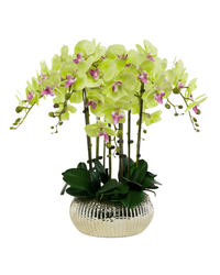 Orchid Arrangement (Faux) - Artificial Plant - 1838465441371127819 - 0 - Tumbleweed Plants - Online Plant Delivery Singapore