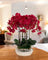 Orchid Arrangement (Life-like Artificial)