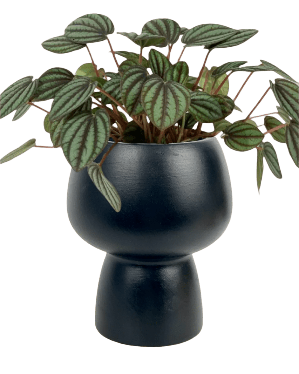 black ceramic sand pot