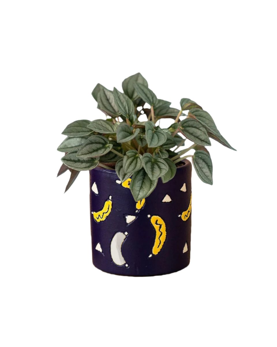 banana pot - blue