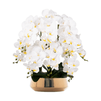 Phalaenopsis Charm - Lifelike Orchid Bloom Décor - Potted plant - 4822216069151 - 0 - Tumbleweed Plants - Online Plant Delivery Singapore