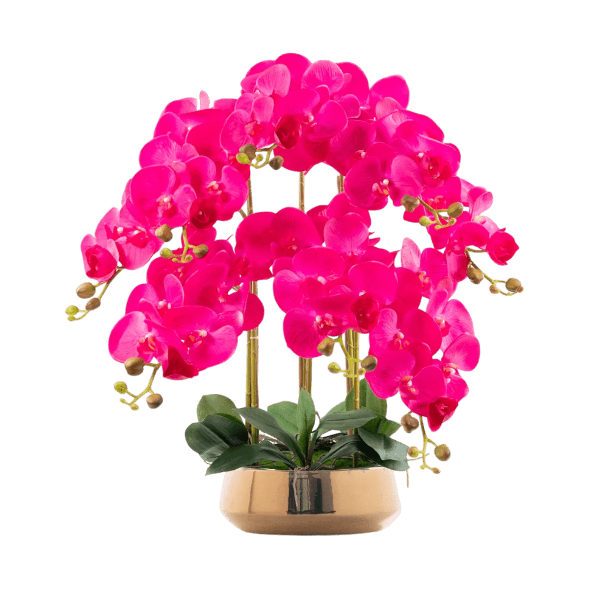 Magenta - gold pot (large)