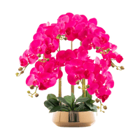 Phalaenopsis Charm - Lifelike Orchid Bloom Décor - Potted plant - 4822216069146 - 0 - Tumbleweed Plants - Online Plant Delivery Singapore