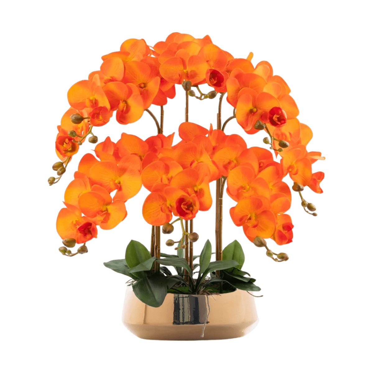 Orange - gold pot (large)