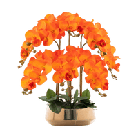 Phalaenopsis Charm - Lifelike Orchid Bloom Décor - Potted plant - 4822216069145 - 0 - Tumbleweed Plants - Online Plant Delivery Singapore