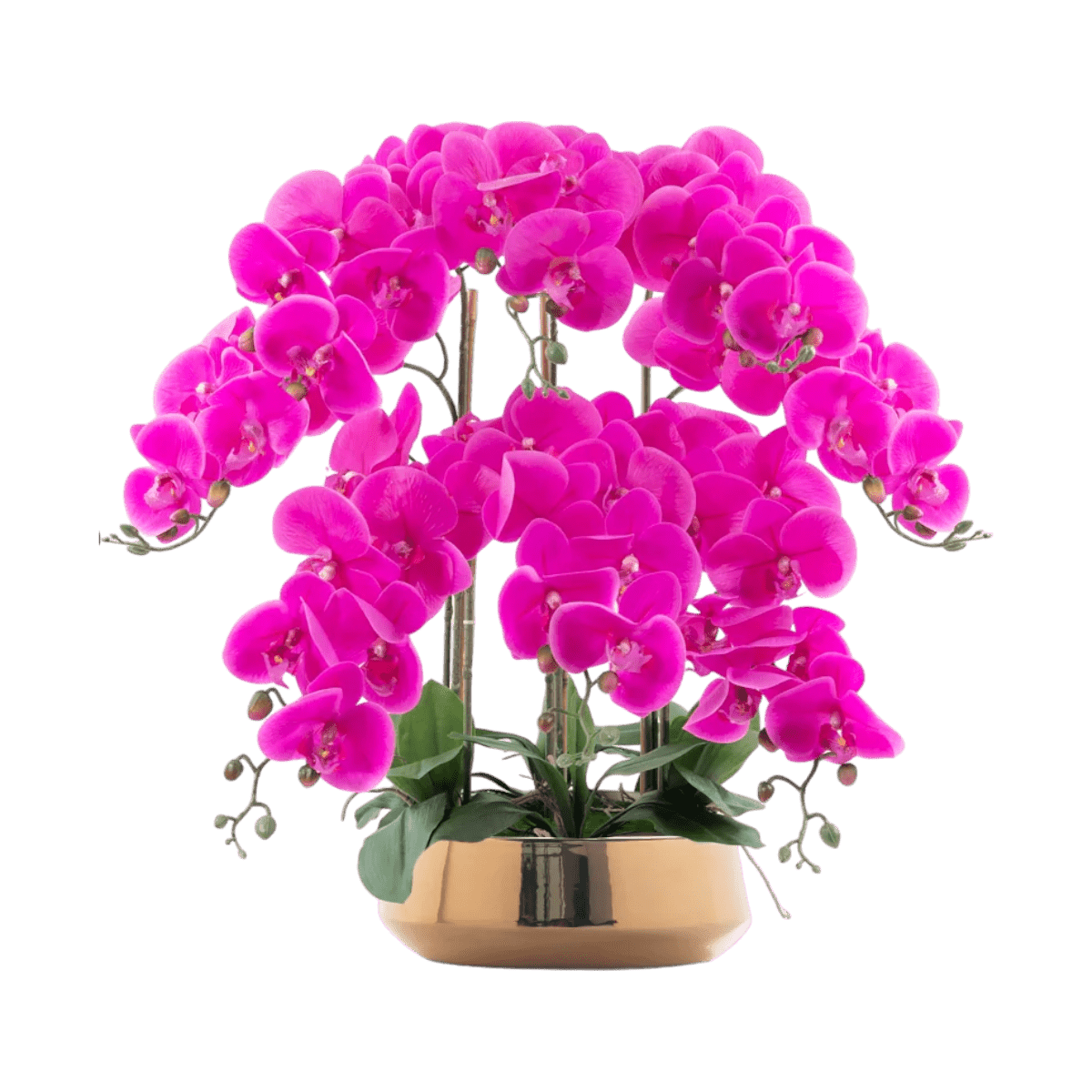 Phalaenopsis Charm - Lifelike Orchid Bloom Décor - Potted plant - 4822216069152 - 0 - Tumbleweed Plants - Online Plant Delivery Singapore