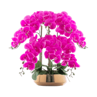 Phalaenopsis Charm - Lifelike Orchid Bloom Décor - Potted plant - 4822216069152 - 0 - Tumbleweed Plants - Online Plant Delivery Singapore