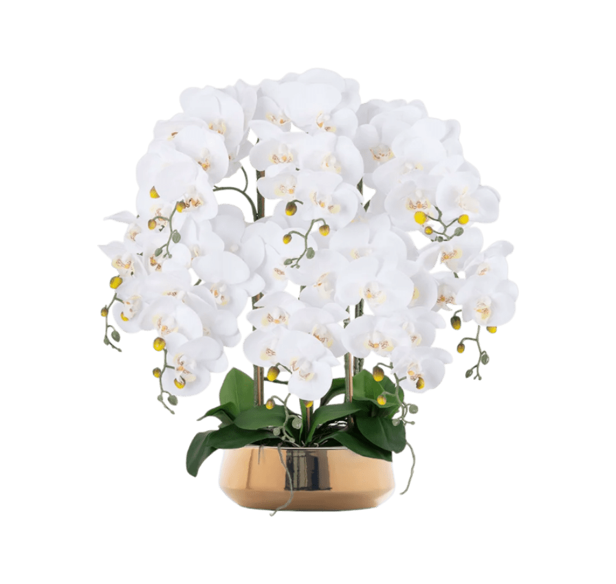 Phalaenopsis Charm - Lifelike Orchid Bloom Décor - Potted plant - 4822216069148 - 0 - Tumbleweed Plants - Online Plant Delivery Singapore