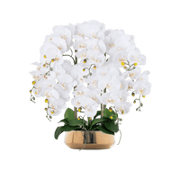 Phalaenopsis Charm - Lifelike Orchid Bloom Décor - Potted plant - 4822216069148 - 0 - Tumbleweed Plants - Online Plant Delivery Singapore