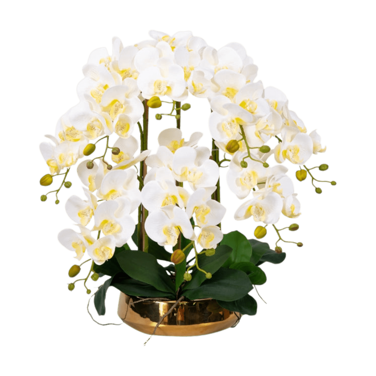 Phalaenopsis Charm - Lifelike Orchid Bloom Décor - Potted plant - 4822216069149 - 0 - Tumbleweed Plants - Online Plant Delivery Singapore