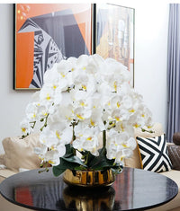 Phalaenopsis Charm - Lifelike Orchid Bloom Décor - Potted plant - 4822216069150 - 0 - Tumbleweed Plants - Online Plant Delivery Singapore