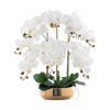 Phalaenopsis Charm - Lifelike Orchid Bloom Décor - Potted plant - 4822216069150 - 0 - Tumbleweed Plants - Online Plant Delivery Singapore
