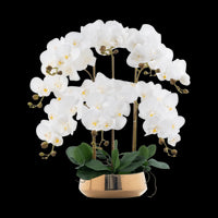 Phalaenopsis Charm - Lifelike Orchid Bloom Décor