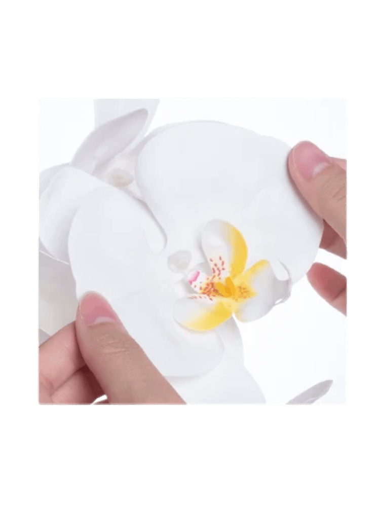 Phalaenopsis Charm - Lifelike Orchid Bloom Décor - Potted plant - 4822216069150 - 0 - Tumbleweed Plants - Online Plant Delivery Singapore