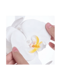 Phalaenopsis Charm - Lifelike Orchid Bloom Décor - Potted plant - 4822216069150 - 0 - Tumbleweed Plants - Online Plant Delivery Singapore