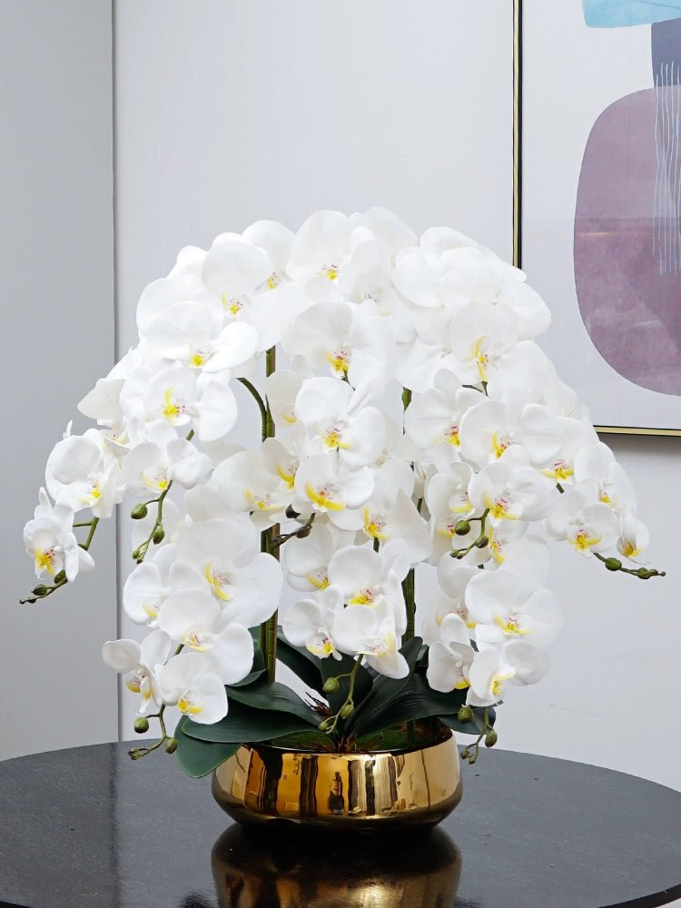 Phalaenopsis Charm - Lifelike Orchid Bloom Décor - Potted plant - 4822216069150 - 0 - Tumbleweed Plants - Online Plant Delivery Singapore