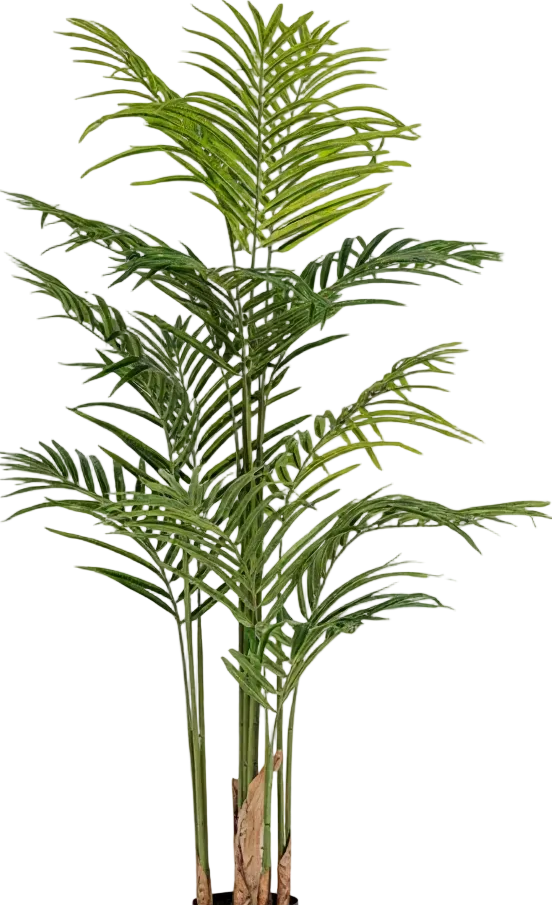 Bamboo Palm (Life-life Artificial)