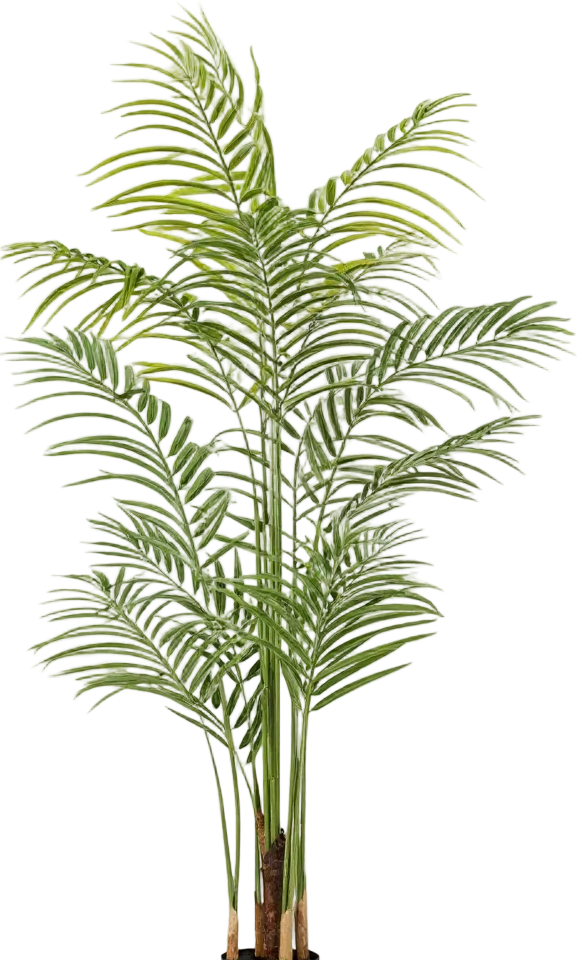 Bamboo Palm (Life-life Artificial)