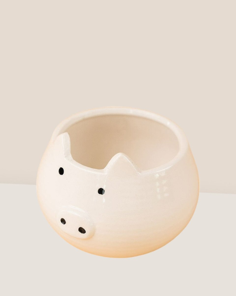 Piggy Planter - Pots - Tumbleweed Plants - Online Plant Delivery Singapore