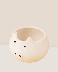 Piggy Planter - Pots - Tumbleweed Plants - Online Plant Delivery Singapore