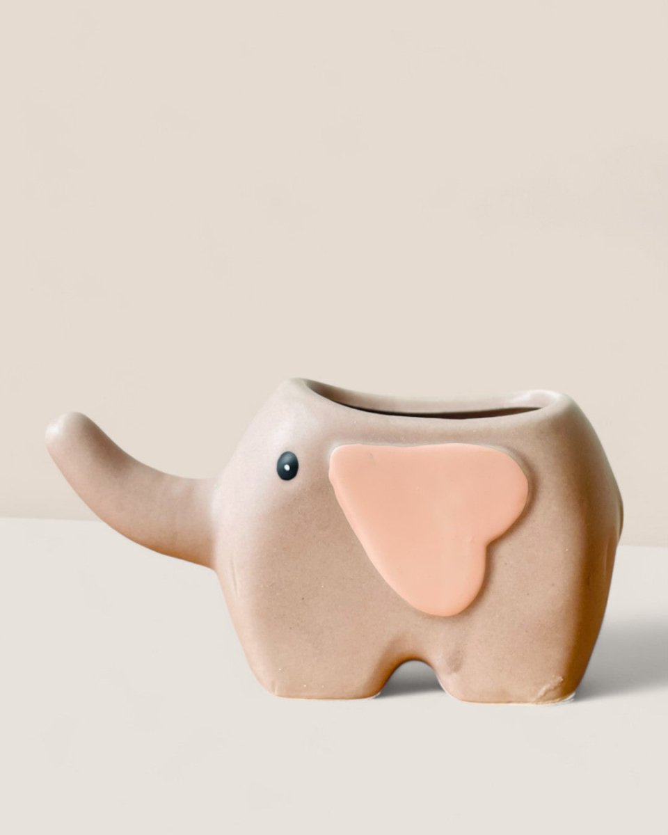 Pink Elephant Dumbo Planter - Pots - POTS - PINK - 6492 - Tumbleweed Plants - Online Plant Delivery Singapore