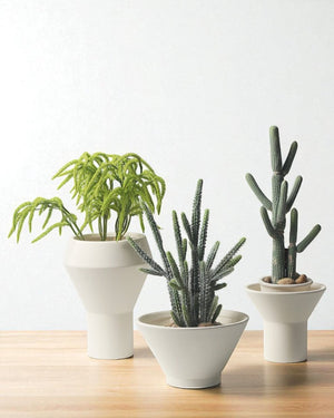 Pivot Planters - Planter - 5948656191784 - Tumbleweed Plants - Online Plant Delivery Singapore