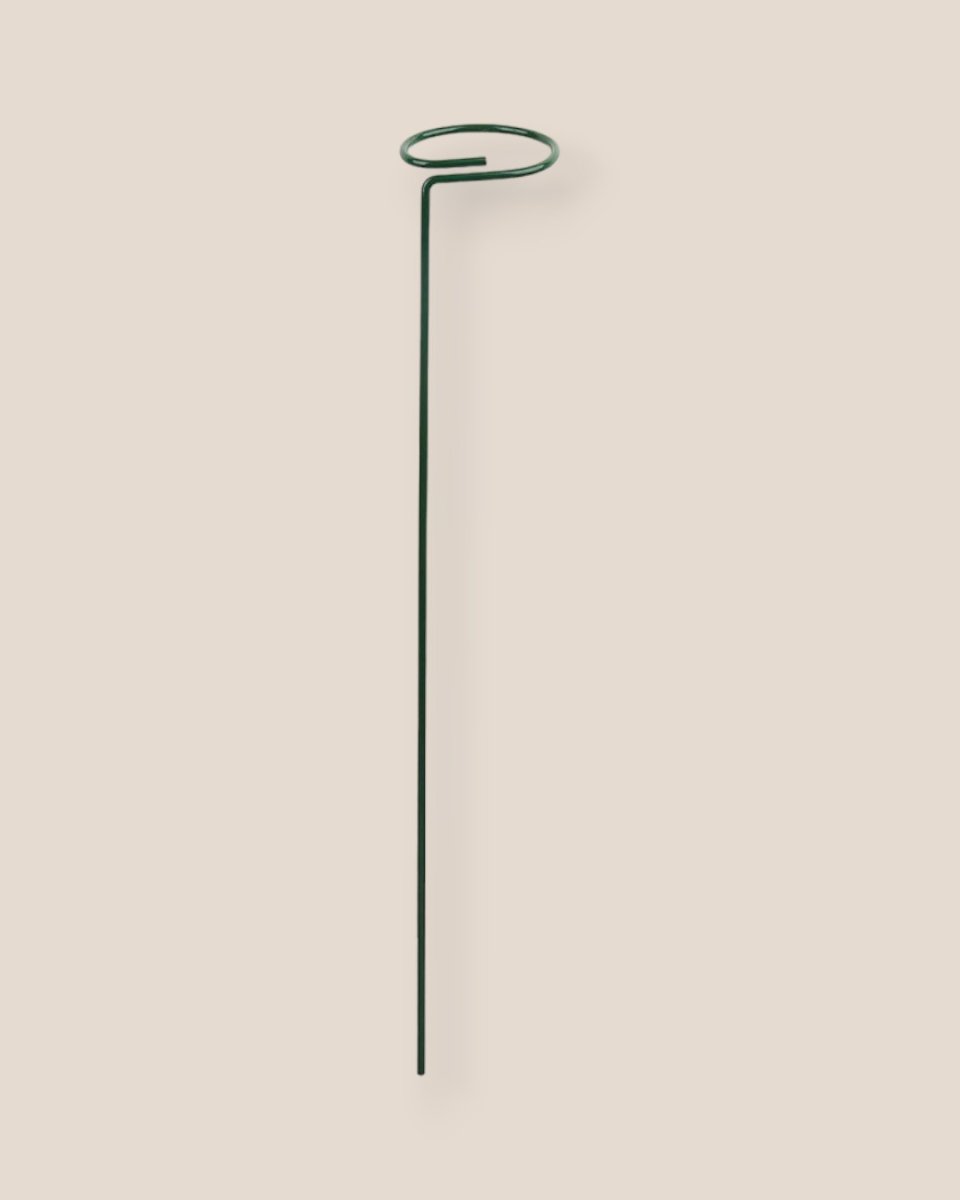 Plant Holder (Simple) - 20cm - Tool - Tumbleweed Plants - Online Plant Delivery Singapore