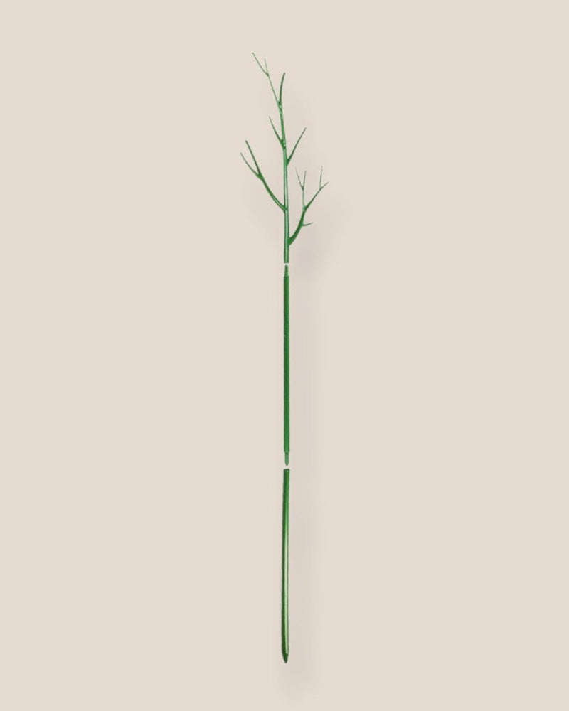 Plant Holder (Single Stem) - 70cm - Tool - Tumbleweed Plants - Online Plant Delivery Singapore