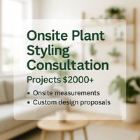 Plant Styling Consultation - Add Ons - PLAN - 5538 - Tumbleweed Plants - Online Plant Delivery Singapore