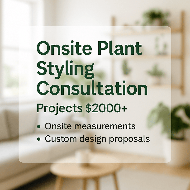 Plant Styling Consultation - Add Ons - PLAN - 5538 - Tumbleweed Plants - Online Plant Delivery Singapore