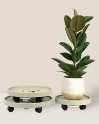 Plant Tray Trolley (Cream) - 28cm - Tray - Tumbleweed Plants - Online Plant Delivery Singapore