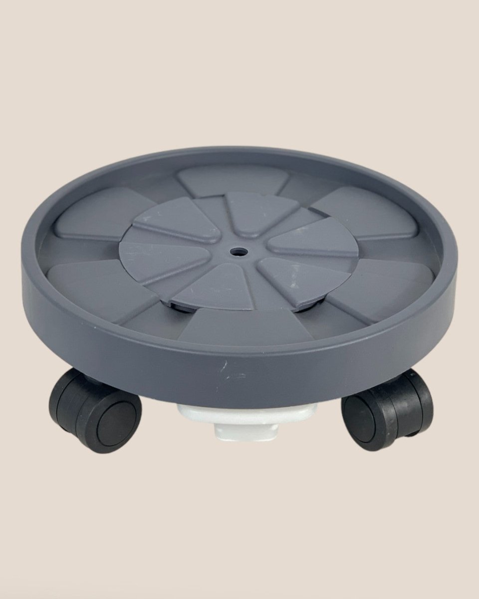 Plant Tray Trolley (Gray) - 23cm - Tray - Tumbleweed Plants - Online Plant Delivery Singapore
