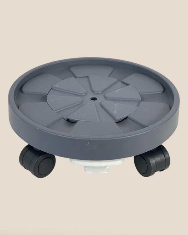 Plant Tray Trolley (Gray) - 23cm - Tray - Tumbleweed Plants - Online Plant Delivery Singapore