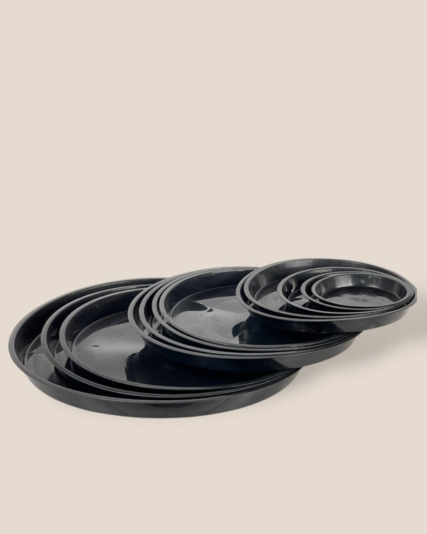 Plastic Tray (Black) - 16.5cm - Tray - Tumbleweed Plants - Online Plant Delivery Singapore