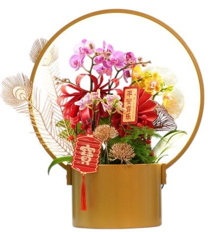 Plethora Orchid Arrangement - Plant Arrangement - POTT - PLET - 6670 - Tumbleweed Plants - Online Plant Delivery Singapore