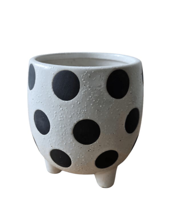 Polka Pop Ceramic Pot - Pots - POTS - POLK - 6938 - Tumbleweed Plants - Online Plant Delivery Singapore
